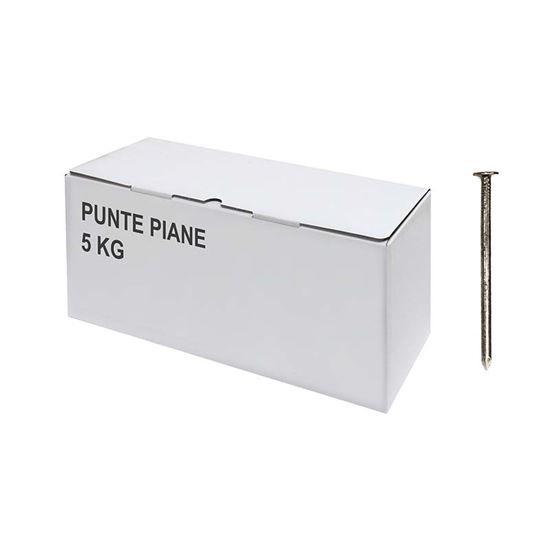 Immagine di PUNTE PIANE, 5 KG, 20X100 MM