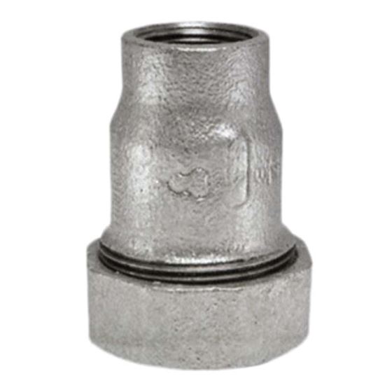Immagine di MONOGIUNTO ZINCATO, FIGURA 756, F 1"