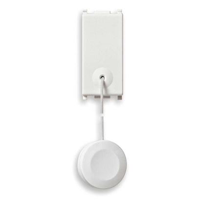 Immagine di PULSANTE 1P, NA, 10 A, TIRANTE, PLANA, COLORE BIANCO