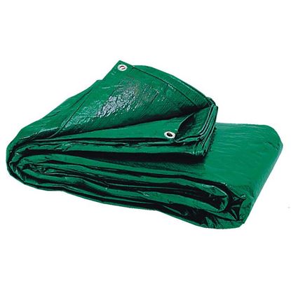 Immagine di TELO COPRITUTTO MT.2X3 GR.70MQC/OCCHIELLI VERDE