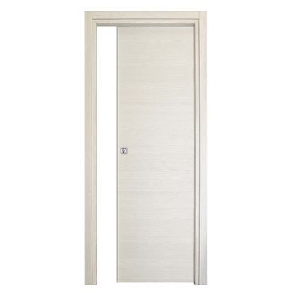 Immagine di PORTA AGATA REVERSIBILE COLOR ACERO NEVE, SCORREVOLE, 80X210 CM