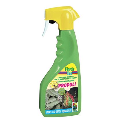 Immagine di PROPOLI LI 500 ML