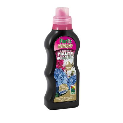 Immagine di ENERGY P.ACIDOFILE LI 500 G